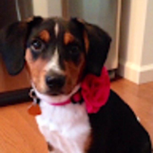 Meet your Posher - Picture 1 of 1